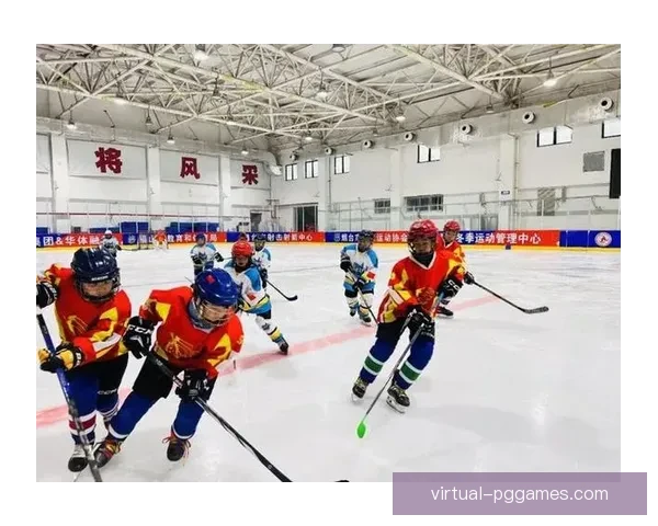 全明星周末：冰球巨星齐聚，激烈角逐风暴来袭