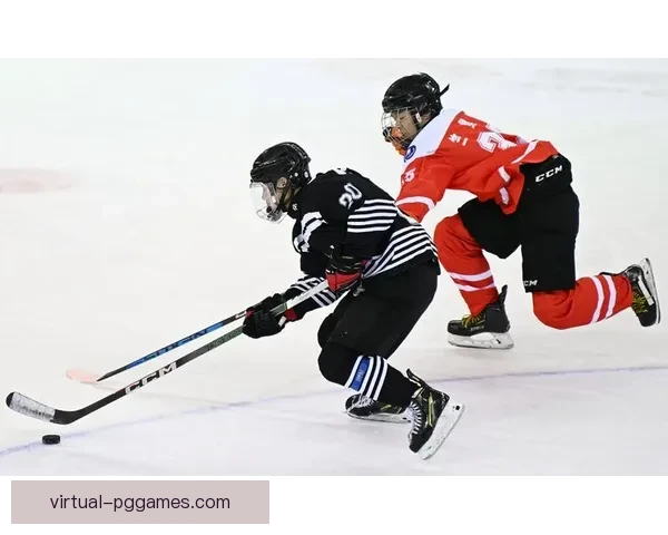 冰球杯赛：热血激战，风云际会