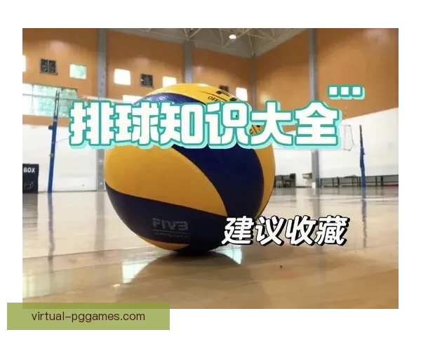 排球排名大揭秘：背后故事你不知道