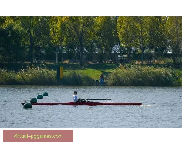 赛艇赛程全攻略：规则、参赛队伍、比赛时间安排一网打尽